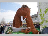 152. Lichtenw�rther Faschingsumzug, 15.02.2015