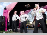 152. Lichtenw�rther Faschingsumzug, 15.02.2015