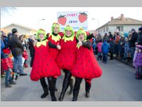 152. Lichtenw�rther Faschingsumzug, 15.02.2015