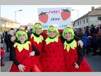 152. Lichtenw�rther Faschingsumzug, 15.02.2015