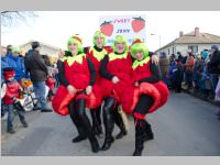 152. Lichtenw�rther Faschingsumzug, 15.02.2015
