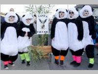 152. Lichtenw�rther Faschingsumzug, 15.02.2015