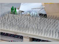 152. Lichtenw�rther Faschingsumzug, 15.02.2015