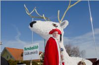 153. Lichtenw�rther Faschingsumzug, 07.02.2016