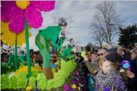 153. Lichtenw�rther Faschingsumzug, 07.02.2016