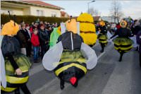 153. Lichtenw�rther Faschingsumzug, 07.02.2016