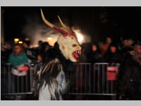 6. Lichtenw�rther Rauhnachts- und Perchtenlauf, 05.01.2014