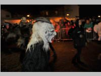 6. Lichtenw�rther Rauhnachts- und Perchtenlauf, 05.01.2014