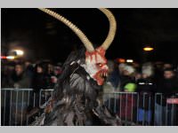 6. Lichtenw�rther Rauhnachts- und Perchtenlauf, 05.01.2014