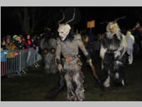 6. Lichtenw�rther Rauhnachts- und Perchtenlauf, 05.01.2014