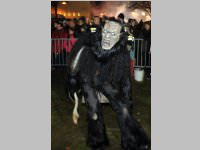 6. Lichtenw�rther Rauhnachts- und Perchtenlauf, 05.01.2014