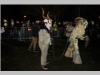 6. Lichtenw�rther Rauhnachts- und Perchtenlauf, 05.01.2014