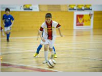 ASV Neufeld Nachwuchs Hallenmasters 2014, 21. - 23.11.2014