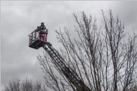 FF Neufeld: Technische Leistungspr�fung, 11.12.2016