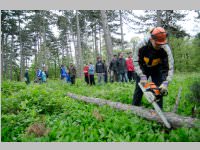 Maibaum der FF Neufeld, 03.05.2014