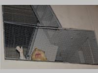 �VP Neufeld: Das Christkind kommt, 20.12.2014