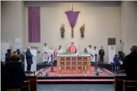 Palmzweigsegnung in Neufeld, 29.03.2015