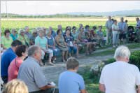 Feldmesse zu Peter und Paul, 29.06.2016