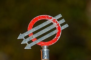 SP� Fackelzug Neufeld - Ebenfurth, 30.04.2016