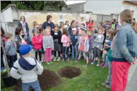 VS Neufeld: Baumpflanzung am Tag der Sonne, 08.05.2015