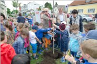 VS Neufeld: Baumpflanzung am Tag der Sonne, 08.05.2015