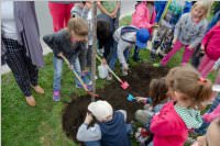 VS Neufeld: Baumpflanzung am Tag der Sonne, 08.05.2015