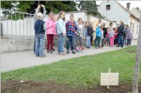 VS Neufeld: Baumpflanzung am Tag der Sonne, 08.05.2015