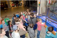 VS 4. Klassen in Spittelau & Technisches Museum, 04. - 05.03.2015