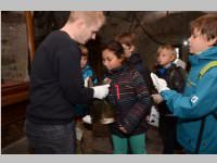 Wandertag der 3. Klassen VS Neufeld nach Forchtenstein, 02.10.2013
