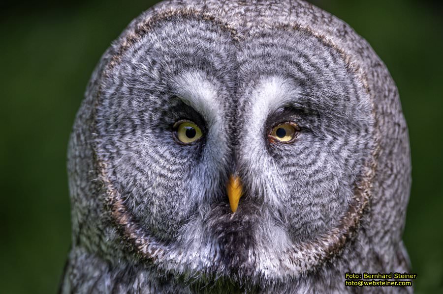 Natur- und Erlebnispark Buchenberg, Mai 2023