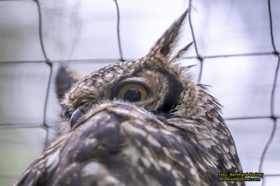 Natur- und Erlebnispark Buchenberg, Mai 2023