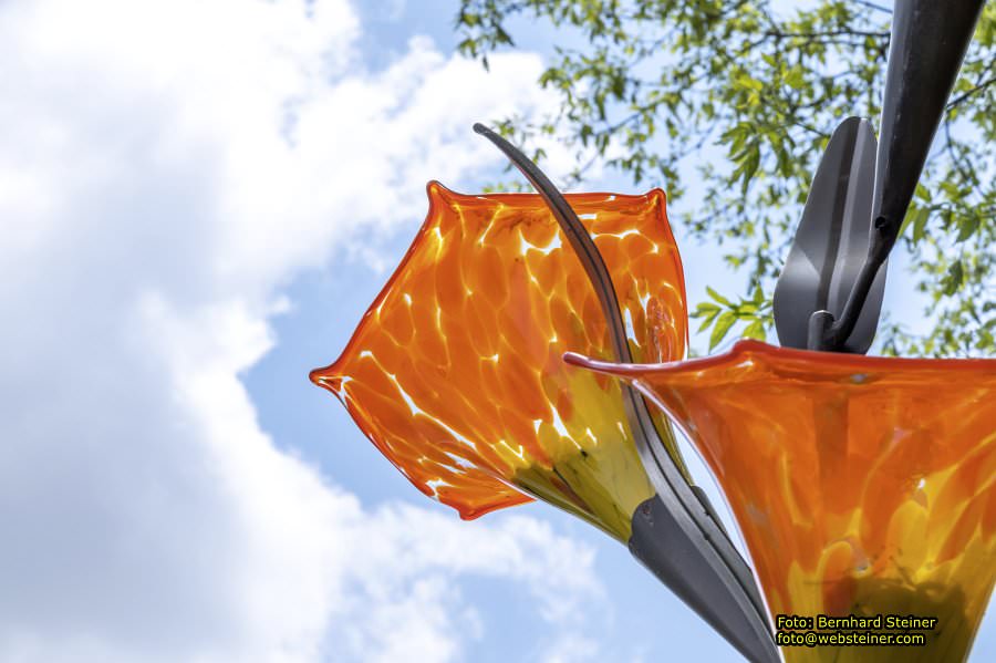 Glasmuseum- Die gläserne Burg, Juni 2023