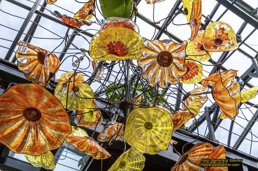 Glasmuseum- Die gläserne Burg, Juni 2023