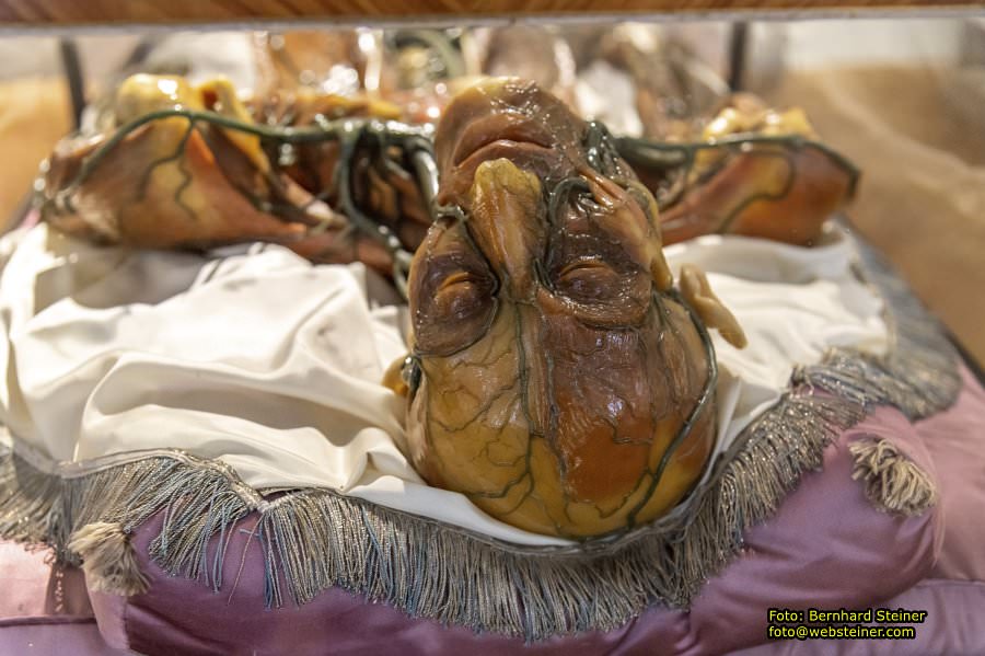 Josephinum in Wien, April 2023