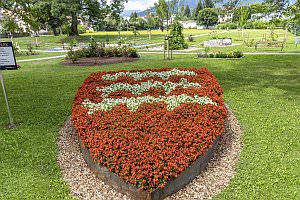 Projekt: Knittelfeld im Murtal in der Steiermark, August 2024