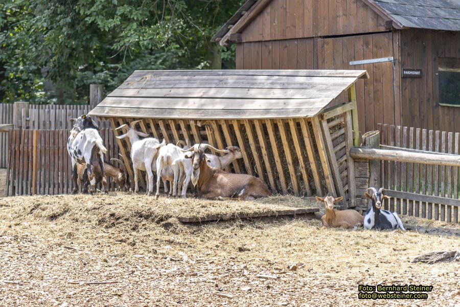 Naturpark Geras, Juli 2023