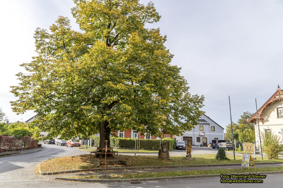 Petzenkirchen, Oktober 2023