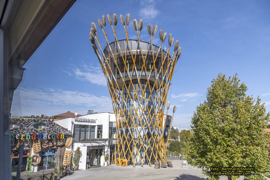 Petzenkirchen, Oktober 2023