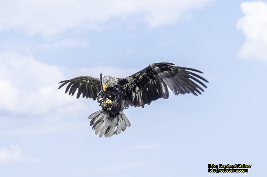 Renaissanceschloss Rosenburg, Juni 2023