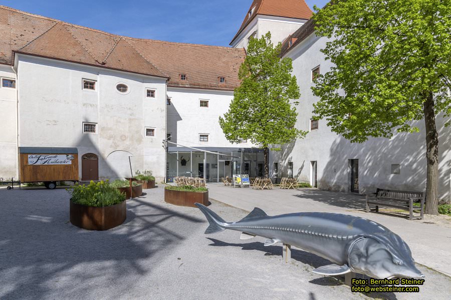 Schloss Orth, Orth an der Donau, Mai 2023