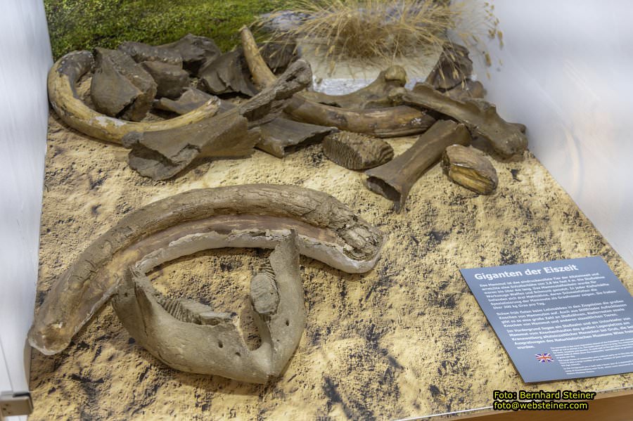 Stillfried, Oktober 2023