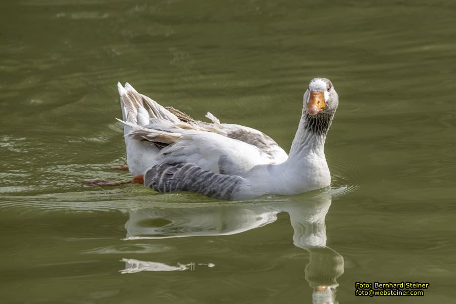 Tierpark Stadt Haag, März 2023