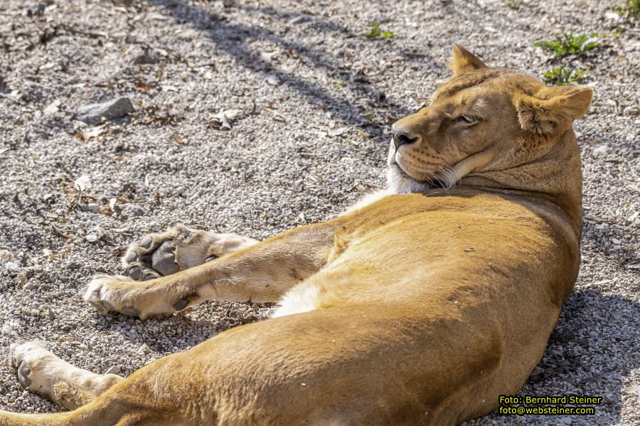 Tierpark Stadt Haag, März 2023