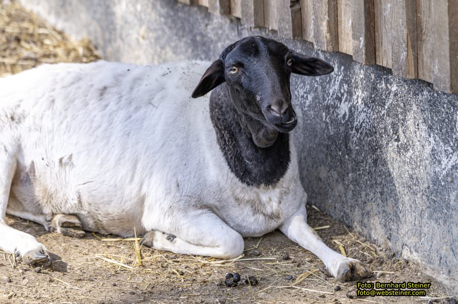 Tierpark Stadt Haag, März 2023