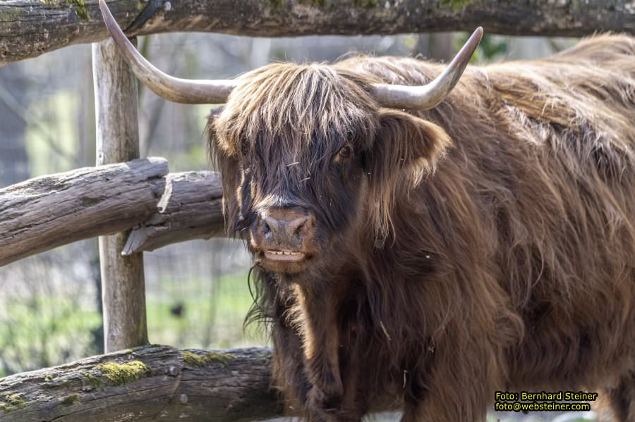 Tierpark Stadt Haag, März 2023