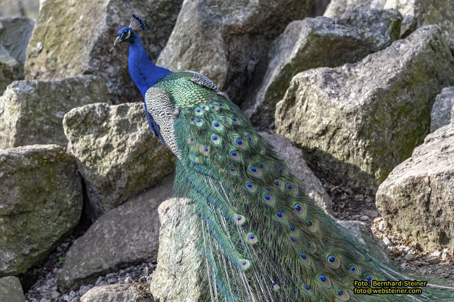 Tierpark Stadt Haag, März 2023