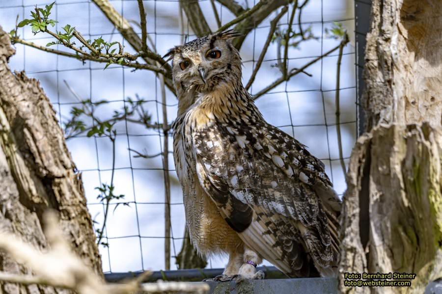 Tierpark Stadt Haag, März 2023