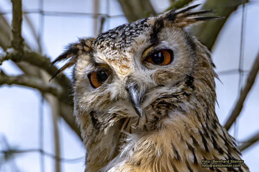 Tierpark Stadt Haag, März 2023