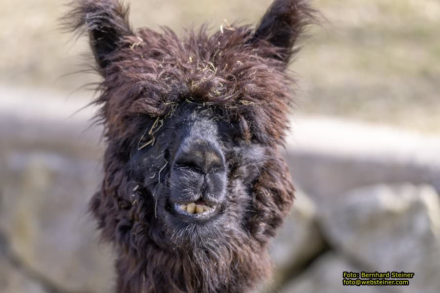 Tierpark Stadt Haag, März 2023