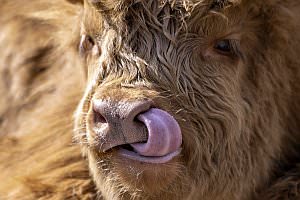 Projekt: Tierpark Stadt Haag, M�rz 2023